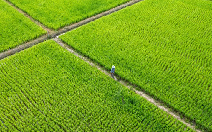 三聚陽光助新農(nóng)科贏得商標異議答辯